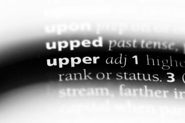 üst sözcük sözlüğe. üst kavramı.