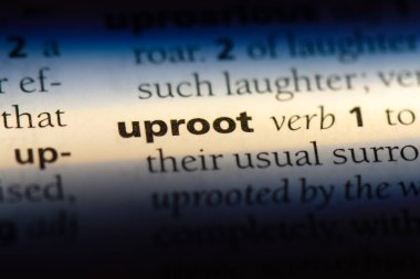 bir sözlüğü'ndeki sözcüğü uzaklaştırmak. kavram kökünden sökmek.