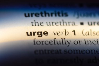 sözcük sözlükte çağırıyorum. dürtü kavramı.