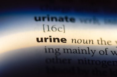 idrar Word'de bir sözlük. idrar kavramı.