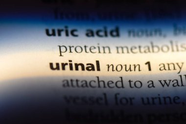 Pisuar Word'de bir sözlük. Pisuar kavramı.