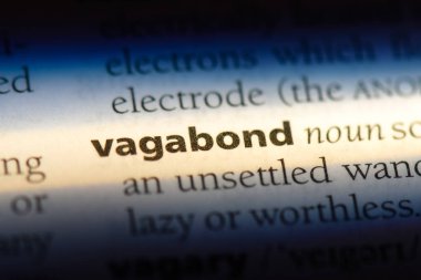 serseri tek kelimeyle bir sözlük. serseri kavramı.