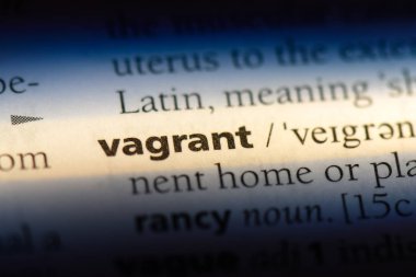 serseri tek kelimeyle bir sözlük. serseri kavramı.