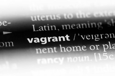 serseri tek kelimeyle bir sözlük. serseri kavramı.