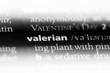 Kediotu Word'de bir sözlük. Kediotu kavramı.