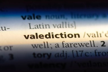 bir sözlüğü'ndeki vedası sözcüğü. vedası kavramı.