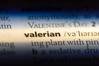 Kediotu Word'de bir sözlük. Kediotu kavramı.