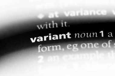 değişken sözcük sözlüğe. varyant kavramı.