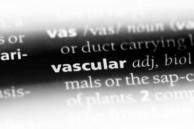 vasküler tek kelimeyle bir sözlük. vasküler kavramı.