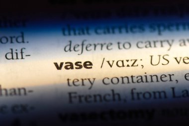 vazo Word'de bir sözlük. vazo kavramı.