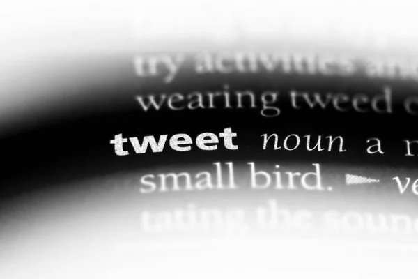 Tweeter Mot Dans Dictionnaire Tweet Concept — Photo