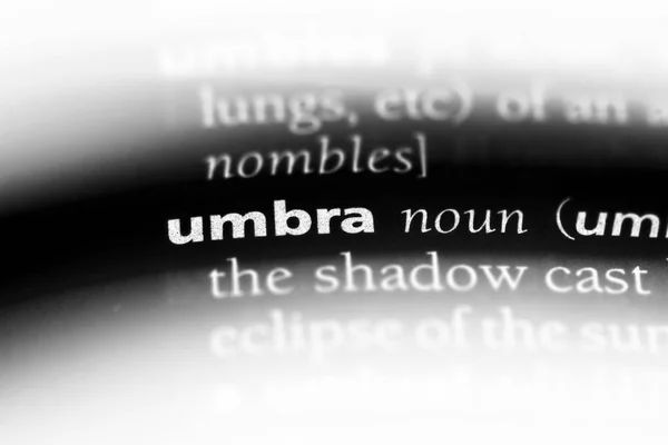 Umbra 単語を辞書で Umbra コンセプト — ストック写真