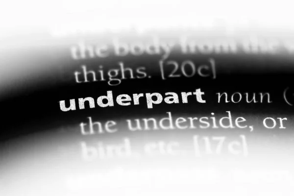 Underpart Word Dictionary Underpart Concept — Stock Photo, Image