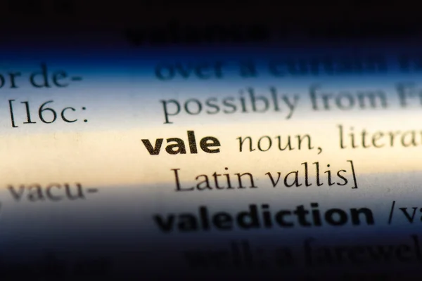 Vale Word Dictionary Vale Concept — Stock Photo, Image