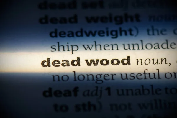 Νεκρό ξύλο — Φωτογραφία Αρχείου