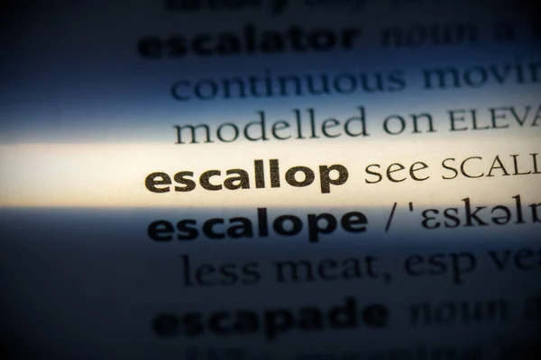 Escallop — Stock Photo, Image