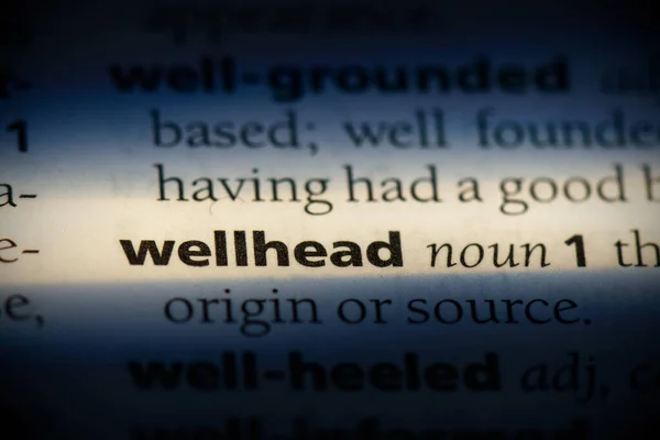 Wellhead. — Foto de Stock