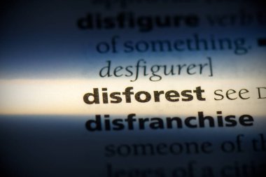 disforest