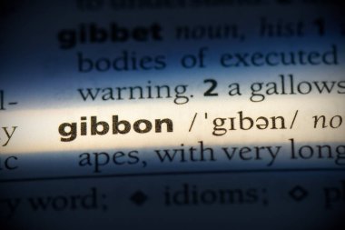 Gibbon