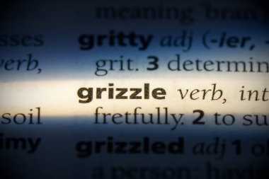 GriZzle