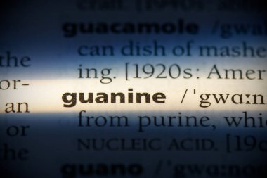 Guanine.