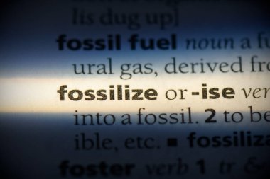fossilize