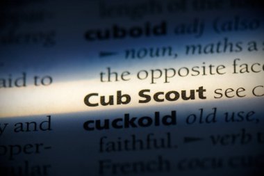 cub scout