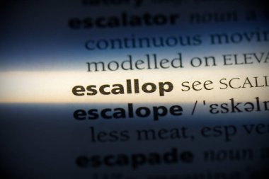 escallop