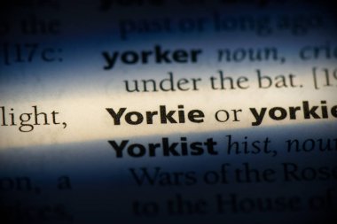 Yorkie