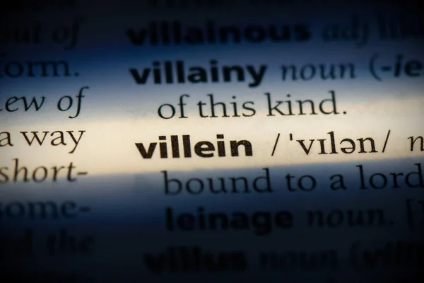 Villein — Stock Photo, Image