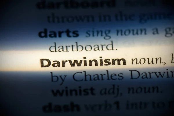 达尔文主义 — 图库照片