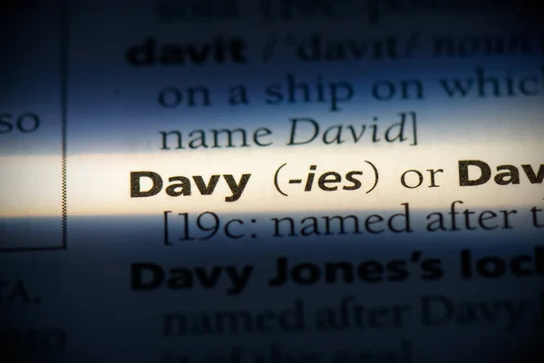 Davy... — Fotografia de Stock