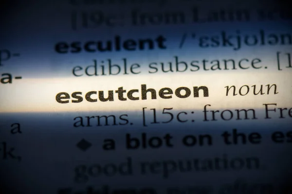 Escutcheon — Stock Photo, Image