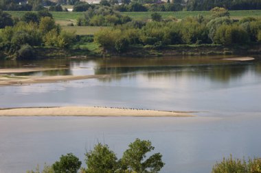 Vistula Nehri 'nin sık bitki örtüsü ile ağaçlar arasında akan manzarası. Doğa, manzara ve nehir fotoğrafçılığı için mükemmel. Vistula Nehri Sahilleri 'nin Nick Manzarası.