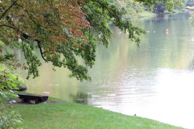 Sonbahar yaprakları ve su yüzeyindeki soyut yansımaları olan ağaçlarla çevrili su yolu..
