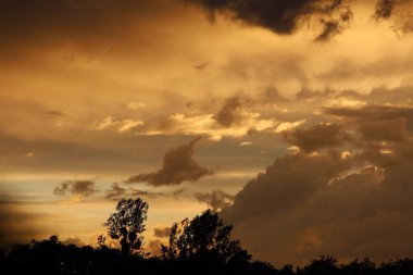 Ufuktaki karanlık ağaç siluetleri üzerinde sıcak gökyüzü ve bulutlar huzurlu ve rahat bir atmosfer yaratıyor..