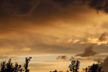 Ufuktaki karanlık ağaç siluetleri üzerinde sıcak gökyüzü ve bulutlar huzurlu ve rahat bir atmosfer yaratıyor..