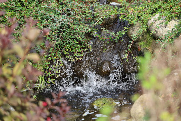 The photo shows an artificial waterfall in Gdansk Zoo, surrounded by greenery and a small pond.