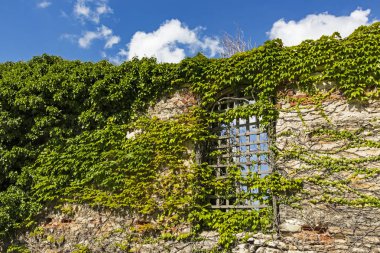 Ören Yapı ve pencere yeşil bitkiler