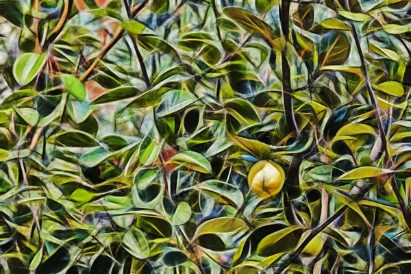 Ayva Meyve Yeşil Doğa Ağacında Yapraklarda — Stok fotoğraf