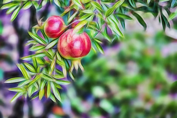 Nahaufnahme Von Granatapfel Und Grünen Blättern Der Natur — Stockfoto