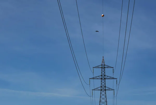 Energie Transmissielijn Met Kabels — Stockfoto