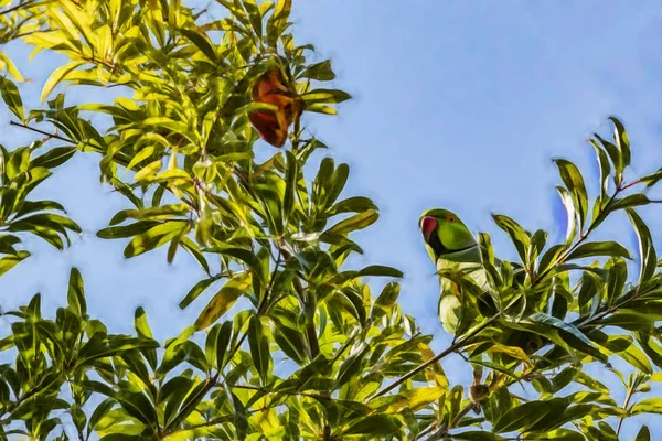 Закрыть Попугая Зеленых Листьях Природе — стоковое фото