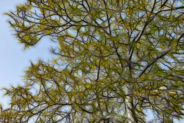 Papuga Zielonych Liści Natura Bliska — Zdjęcie stockowe