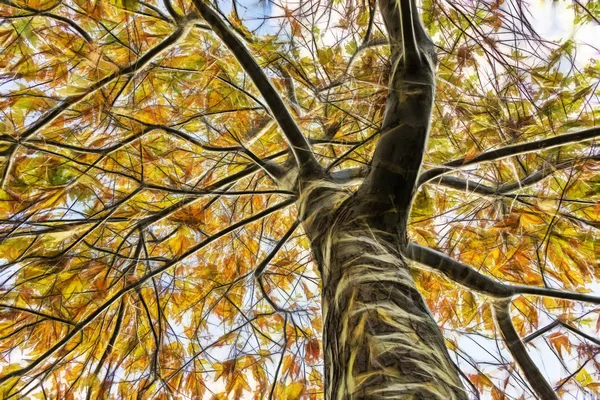 Stäng Upp Höstens Träd Med Blad Grenar — Stockfoto