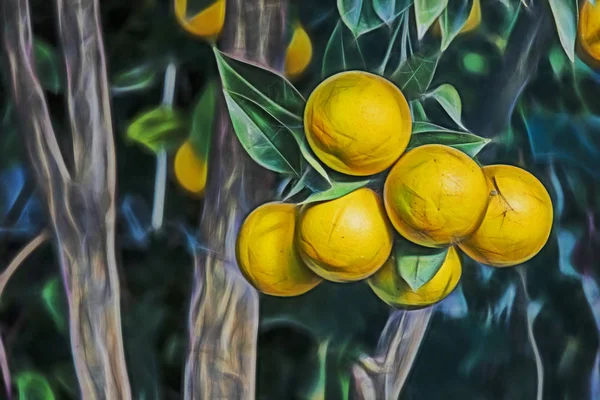 Orangefarbene Früchte Auf Ästen Der Natur — Stockfoto