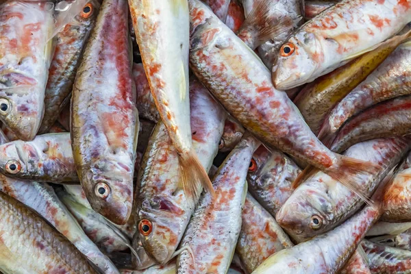 Pesci Vicino Vendita Nel Mercato Del Pesce — Foto Stock