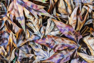 yere düşen sonbahar yaprakları