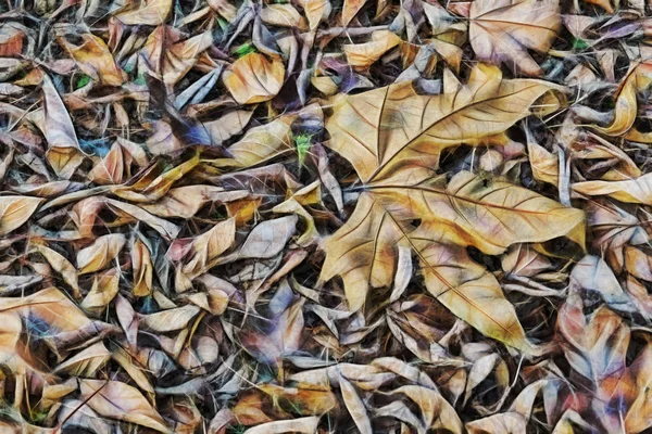 Φθινόπωρο Φύλλα Που Πέφτουν Στο Έδαφος — Φωτογραφία Αρχείου