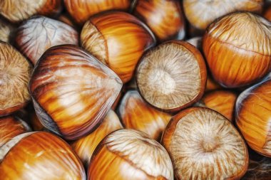 toplu olarak kabuklu fındık kadar kapatın